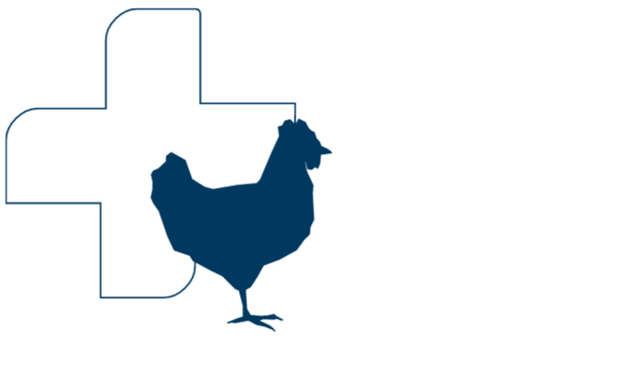 A graphic design of the Olus Plus-plus and a chicken in the colour blue